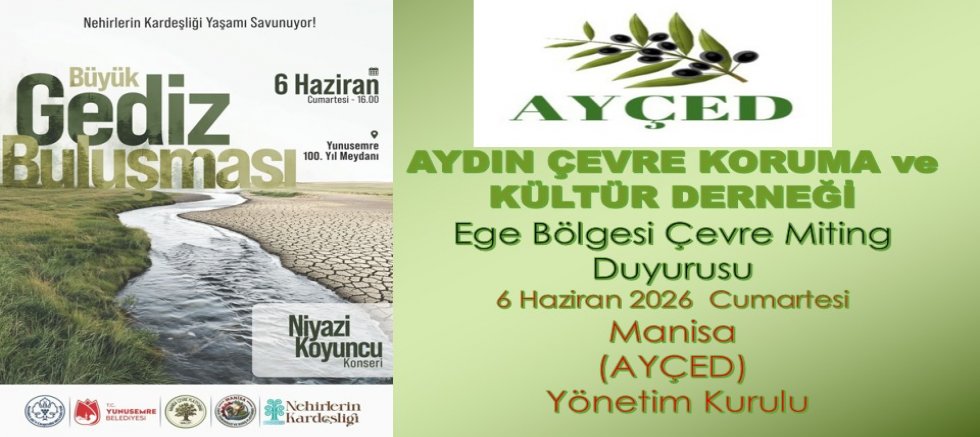 AYÇED, Büyük Gediz Buluşması İçin Manisa'ya Çıkarma Yapıyor: 