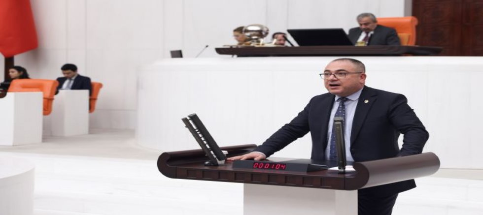 CHP’Lİ EVRİM KARAKOZ SÖKELİ BALIKÇILARIN MAĞDURİYETİNİ TBMM GÜNDEMİNE TAŞIDI