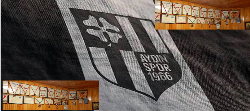 LinkedIn’de Başkan Aranıyor: Aydınspor Taraftarlarından Benzersiz Çağrı