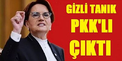 Akşener'in FETÖ davasındaki gizli tanık, PKK'lı çıktı