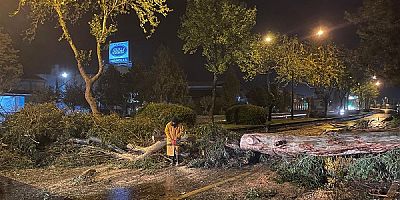 Aydın Büyükşehir Belediyesi ekiplerinden Hızlı Müdahale