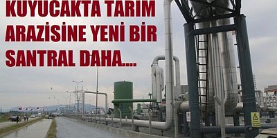 Aydın’da tarım alanlarının ortasına bir JES daha kuruluyor