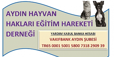 Can Dostlarımıza