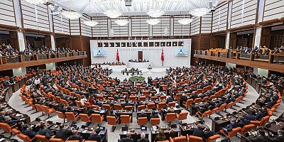 Çevre bütçesi Meclis gündeminde: Doğa rant odaklı bir anlayışla yönetiliyor