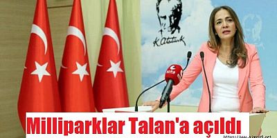 CHP'li İlgezdi: Milli parklar talana açılıyor