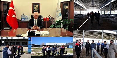 Çine’de Hayvancılık Sektörüne Müjde: Hayvan Pazarı Kapılarını Yeniden Açıyor!