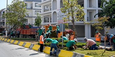 DAVUTLAR MAHALLESİ YENİ PEYZAJIYLA RENGARENK OLUYOR