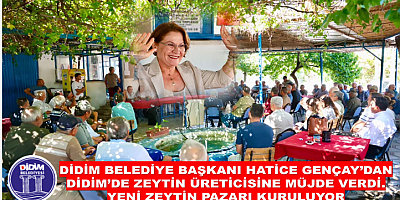 DİDİM’DE ZEYTİN ÜRETİCİSİNE MÜJDE: YENİ ZEYTİN PAZARI KURULUYOR