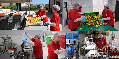 Efeler Belediyesi Kadın Emeği Tarımsal Ürün Fabrikası’nda sonbahar mesaisi devam ediyor.
