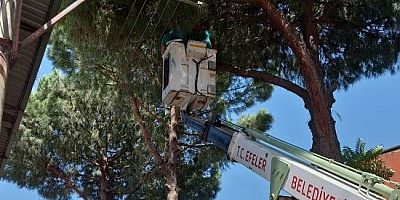 EFELER BELEDİYESİ’NDEN GÜVENLİK ÖNLEMİ
