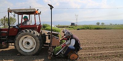 EFELER’DE DOMATES FİDELERİ TOPRAKLA BULUŞTU