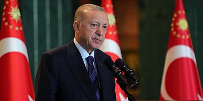 ERDOĞAN 196 VEKİLİ ÇİZDİ