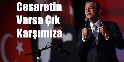 Erdoğan, Cesaretin varsa çık karşımıza