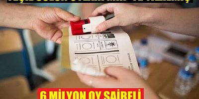 Eski TÜİK Başkanı: 6 milyon oy şüpheli