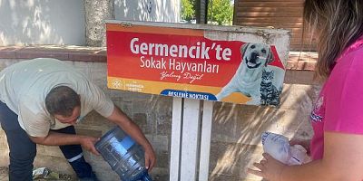 Germencik Belediyesi kavurucu sıcaklarda can dostlar için seferber oldu