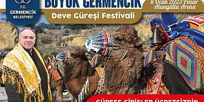 Germencik’te deve güreşi hazırlıkları sürüyor