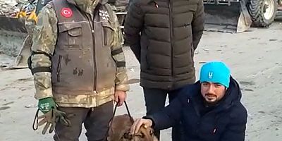 Hayat kurtarırken yaralanan hassas burun 'Sıla' tekrar görev başında
