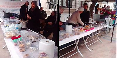 Haykonfed Sokak Canları Yararına Kermes Düzenledi