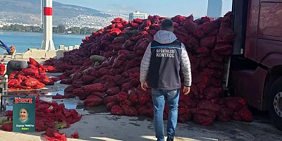 İzmir’de kaçak avlanan 27 ton kara midye ele geçirildi