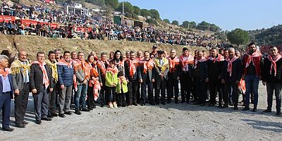 Koçarlı’da ’8. Geleneksel Deve Güreşi Festivali’ gerçekleştirildi