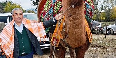 Koçarlı’da Deve Güreşi hazırlıkları tamamlandı