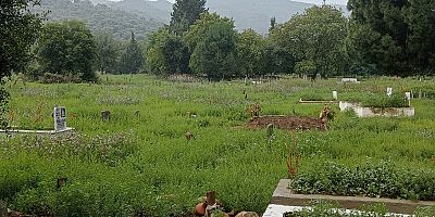 Koçarlı mezarlıkları bayrama hazırlanıyor 