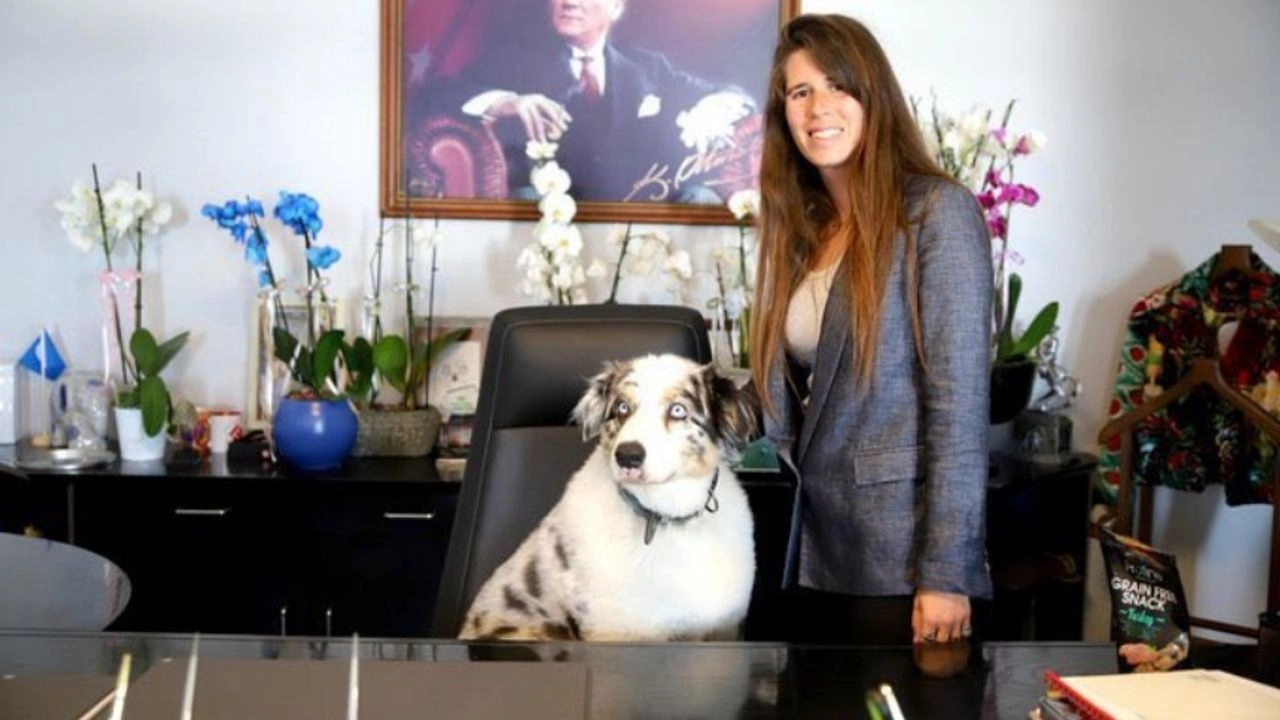 Köpeğim sizden daha mantıklı davranışlara sahip