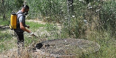 Kuşadası Belediyesi ekipleri ilaçlama çalışmalarını  sürdürüyor. 