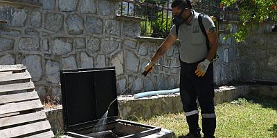 KUŞADASI’NDA SİVRİSİNEK VE HAŞERELERE KARŞI MÜCADELE SÜRÜYOR