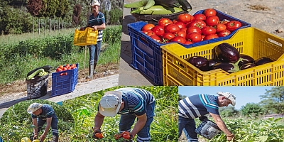 Kuşadası’nda Yazın Bereketi Adabahçe İle Yaşanıyor