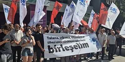 Ormanlarımız yalnızca yanmıyor, peşkeş çekiliyor