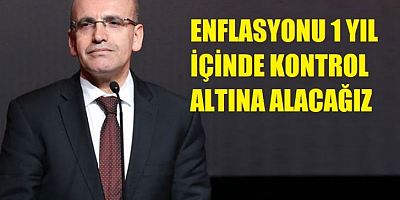 Şimşek Enflasyonu 1 Yıl içinde Yeneceklerini iddia etti.