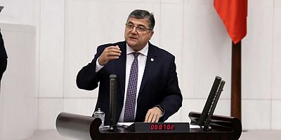 Sındır, “iktidar giderayak ormanlarımızı ve küçük çiftçilerimizi feda ediyor”
