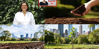 TEMA Vakfı: Sağlıklı kentler için, sağlıklı topraklara ihtiyacımız var!