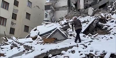 TSK’ya ait arama kurtarma köpekleri enkaz çalışmalarında görev alıyor