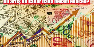 Türk Lirası dolar karşısında erimeye devam ediyor!